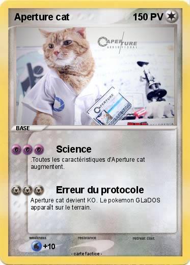 Pokemon Aperture cat
