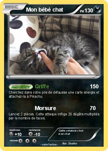 Pokemon Mon bébé chat