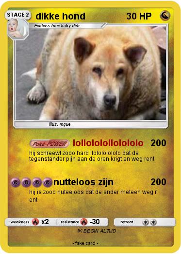 Pokemon dikke hond