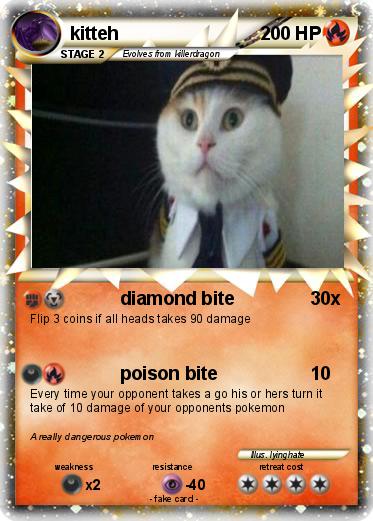 Pokemon kitteh