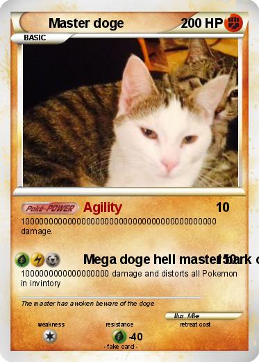 Pokemon Master doge