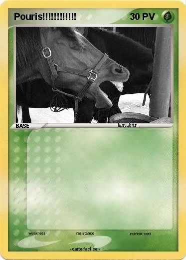 Pokemon Pouris!!!!!!!!!!!!