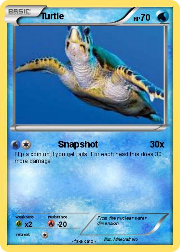 Pokemon Turtle