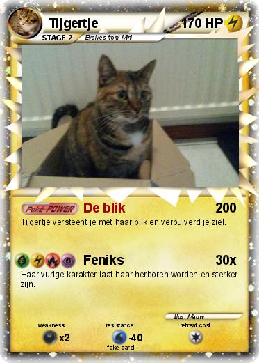 Pokemon Tijgertje