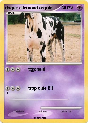 Pokemon dogue allemand arquin