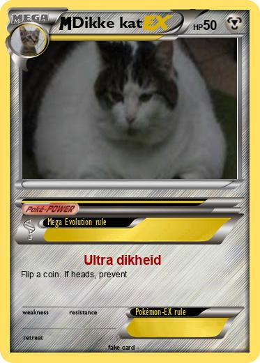 Pokemon Dikke kat