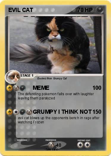 Pokemon EVIL CAT