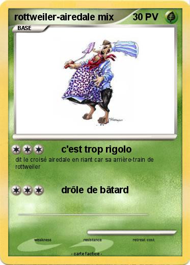 Pokemon rottweiler-airedale mix