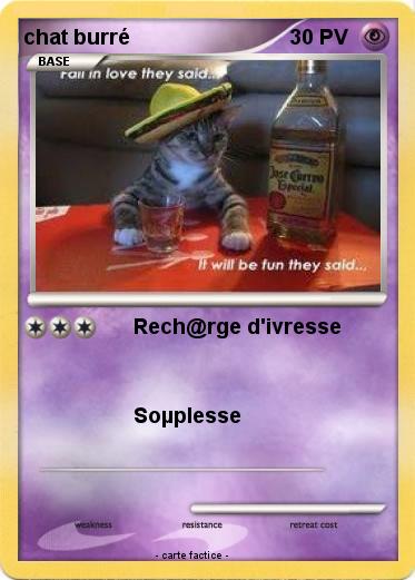 Pokemon chat burré