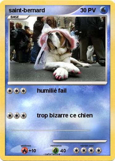 Pokemon saint-bernard