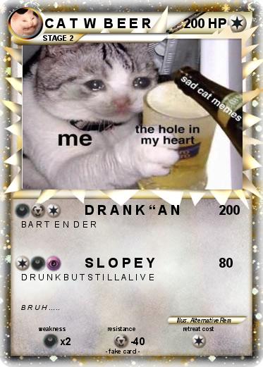 Pokemon C A T  W  B E E R