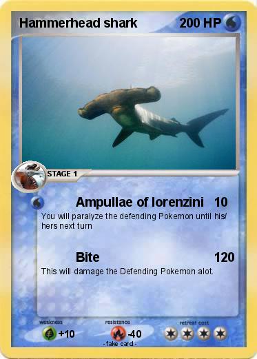 Pokemon Hammerhead shark
