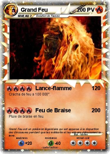 Pokemon Grand Feu