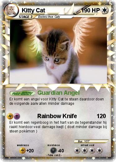 Pokemon Kitty Cat