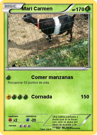 Pokemon Mari Carmen