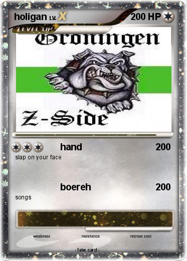 Pokemon holigan