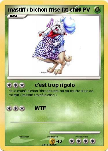 Pokemon mastiff / bichon frise fat chef