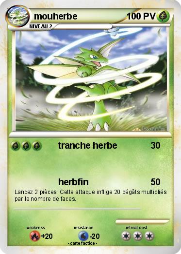 Pokemon mouherbe