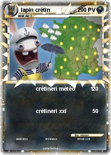 Pokemon lapin crétin
