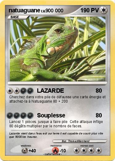 Pokemon natuaguane