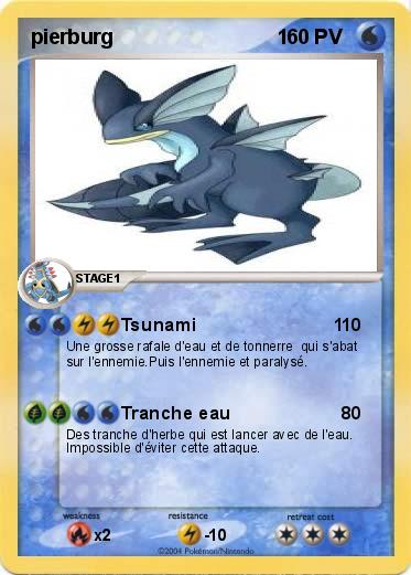 Pokemon pierburg                             1