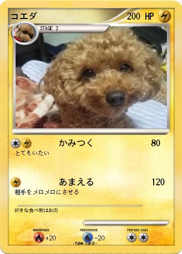 Pokemon コエダ