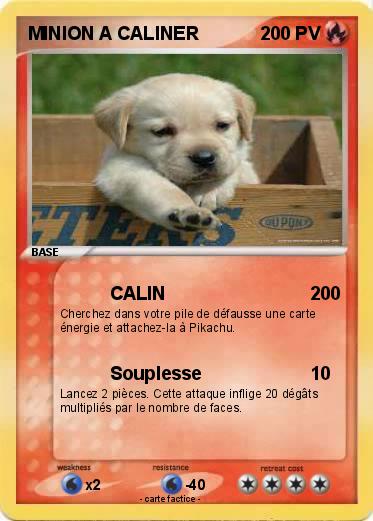 Pokemon MINION A CALINER