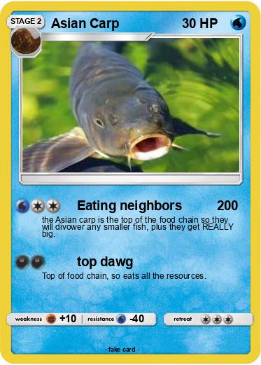 Pokemon Asian Carp
