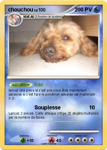 Pokemon chouchou