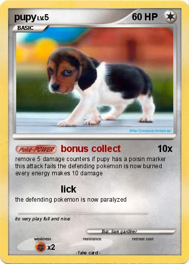 Pokemon pupy