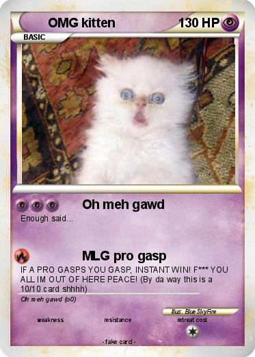 Pokemon OMG kitten