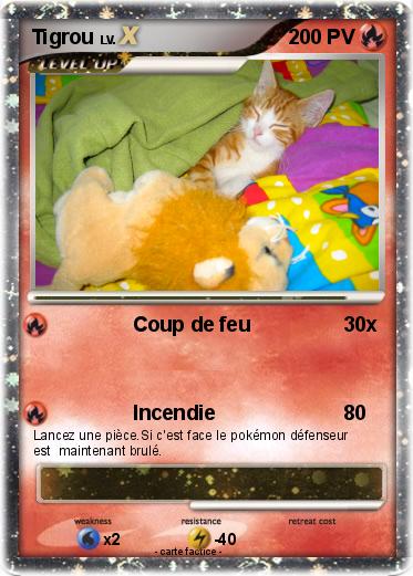 Pokemon Tigrou