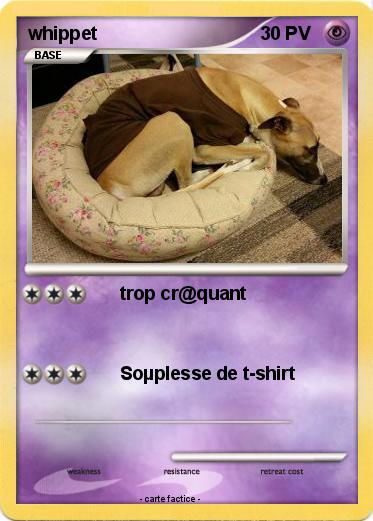 Pokemon whippet