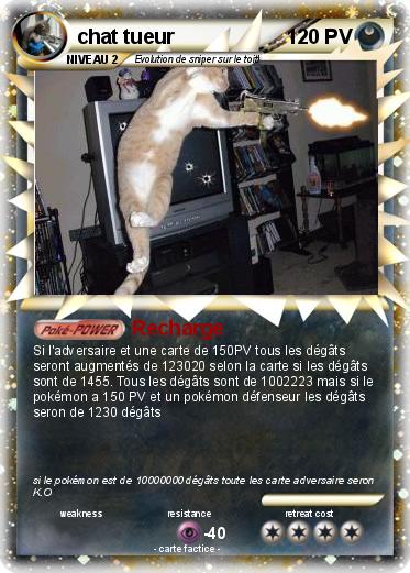 Pokemon chat tueur