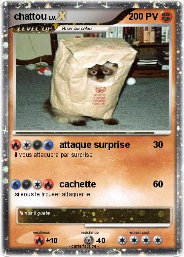 Pokemon chattou