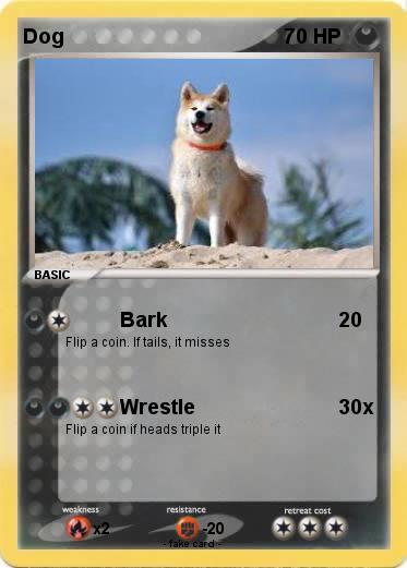 Pokemon Dog
