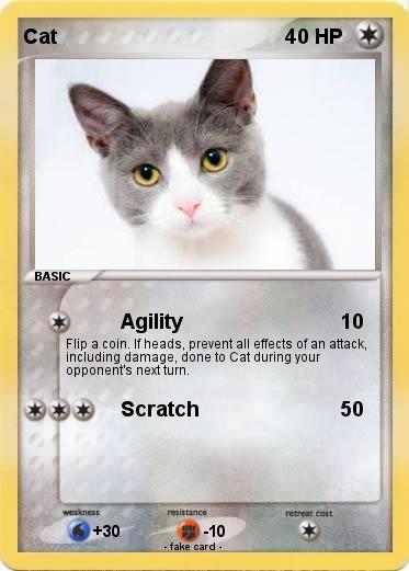 Pokemon Cat