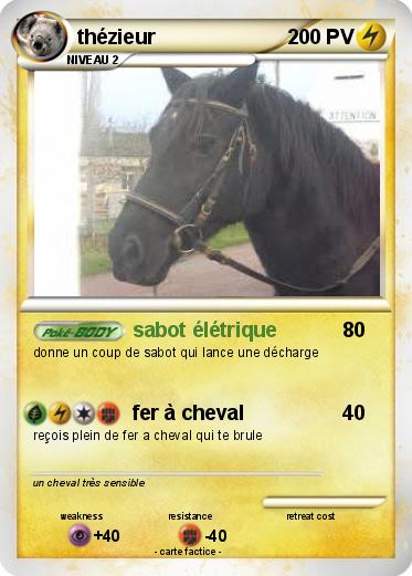 Pokemon thézieur