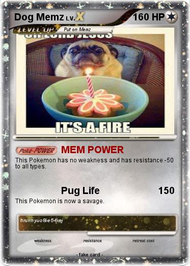Pokemon Dog Memz
