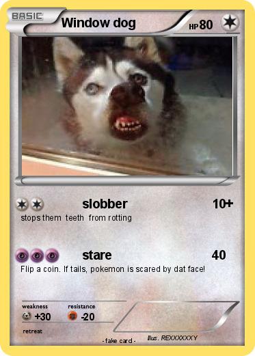 Pokemon Window dog