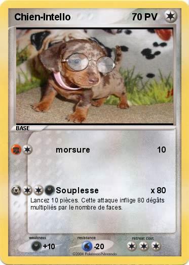 Pokemon Chien-Intello