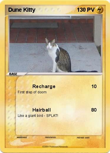 Pokemon Dune Kitty