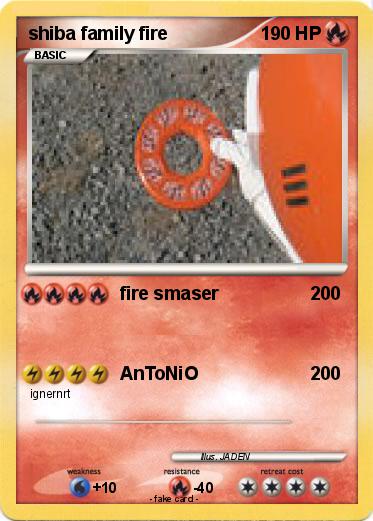 Pokemon shiba family fire