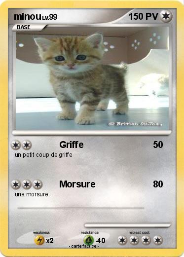 Pokemon minou