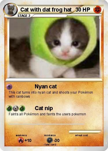 Pokemon Cat with dat frog hat
