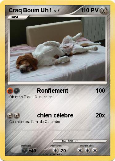 Pokemon Craq Boum Uh !