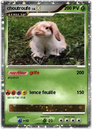 Pokemon choutroufe