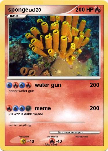 Pokemon sponge