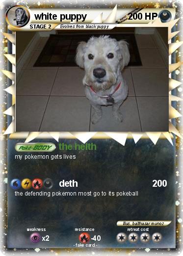 Pokemon white puppy