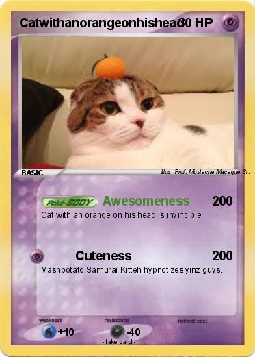 Pokemon Catwithanorangeonhishead